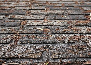 American Roofing and Siding Images